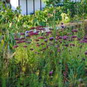 Farbe 2.JPG