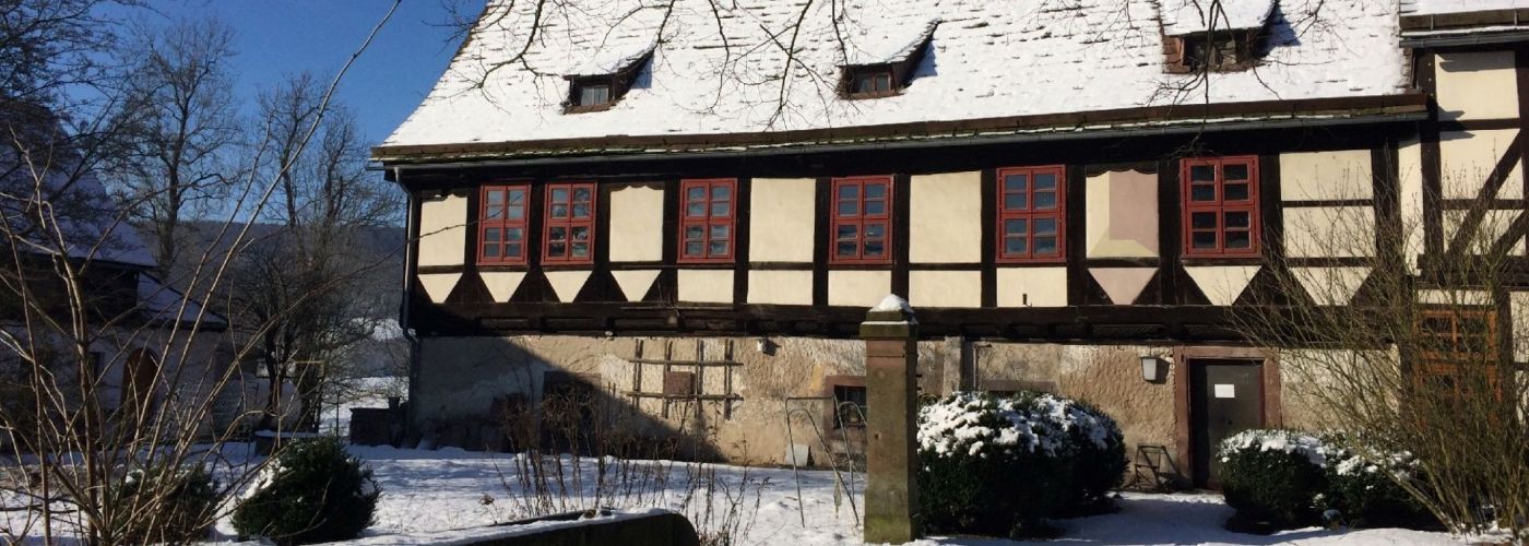 Forst im Sommer