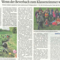 Zeitungsartikel im Täglichen Anzeiger Holzminden