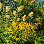 Farbe 1.JPG